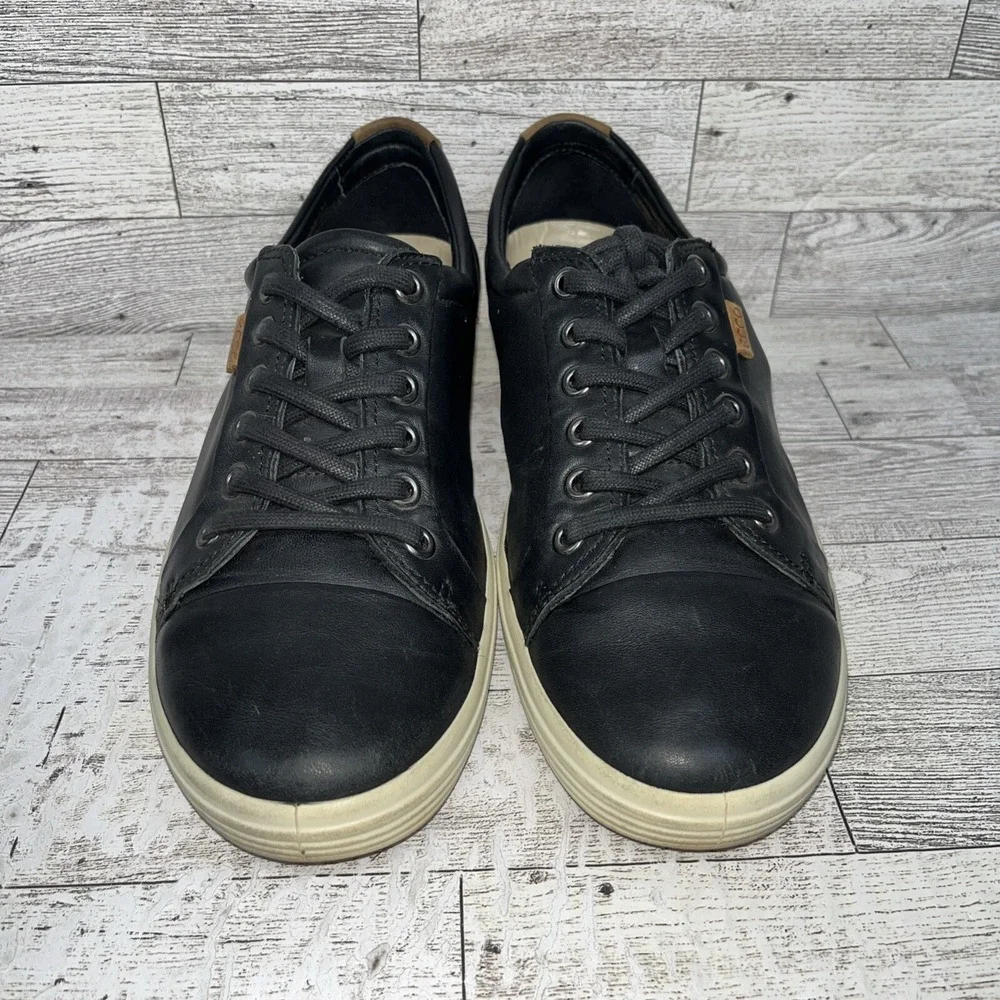 Ecco elevate your